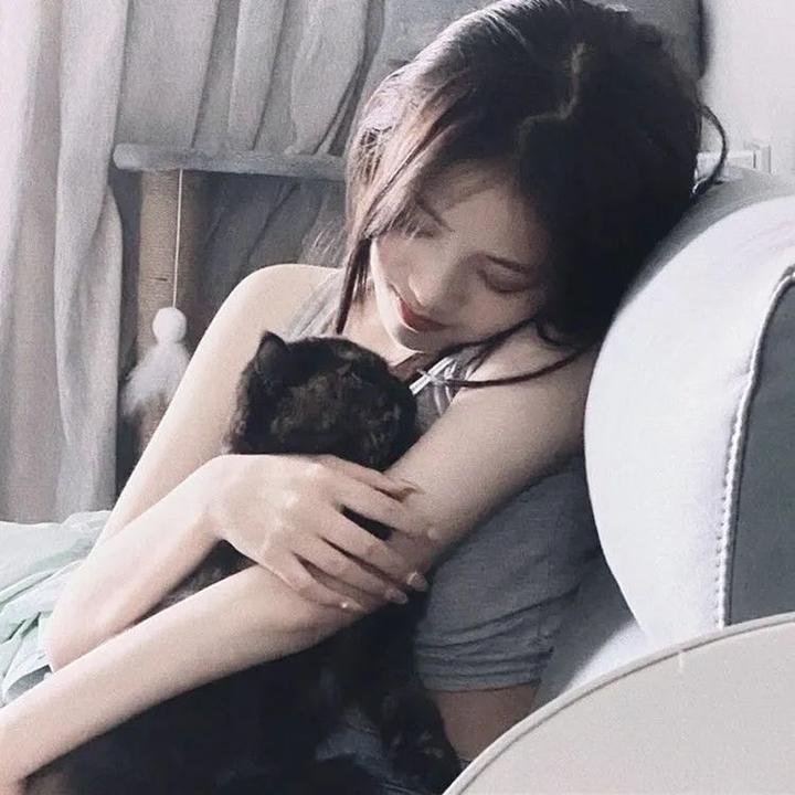 沈腾